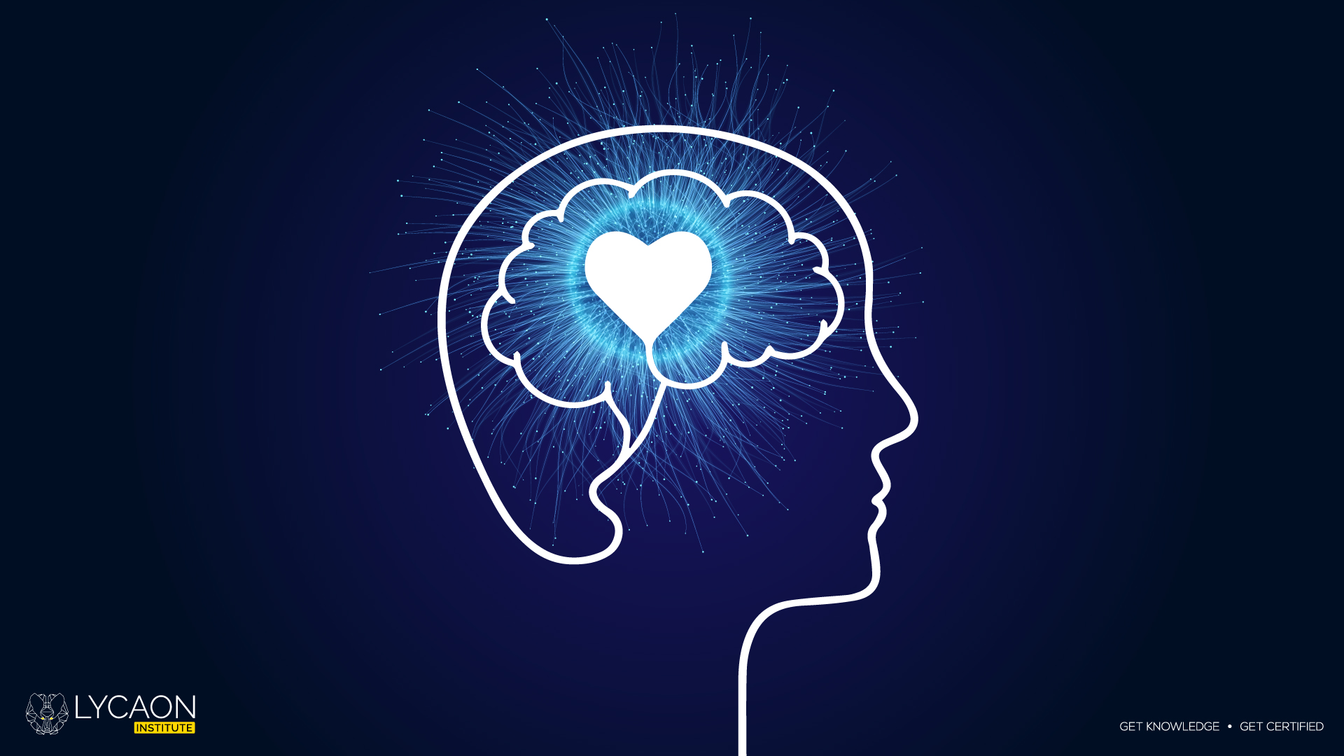 Lire la suite à propos de l’article L’intelligence émotionnelle : un atout pour les managers